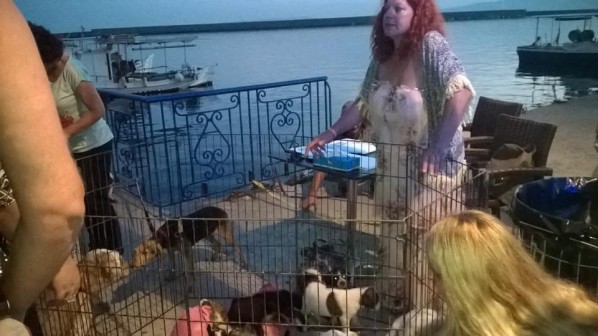 11825214_379331612266698_4147322617855608359_n