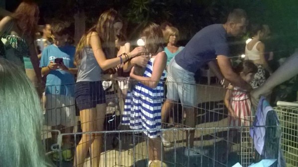 11873349_379331558933370_140110599750094810_n