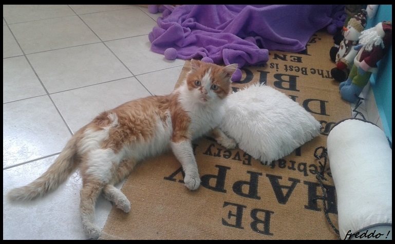 10407548_1658102944445312_7318918694736696202_n