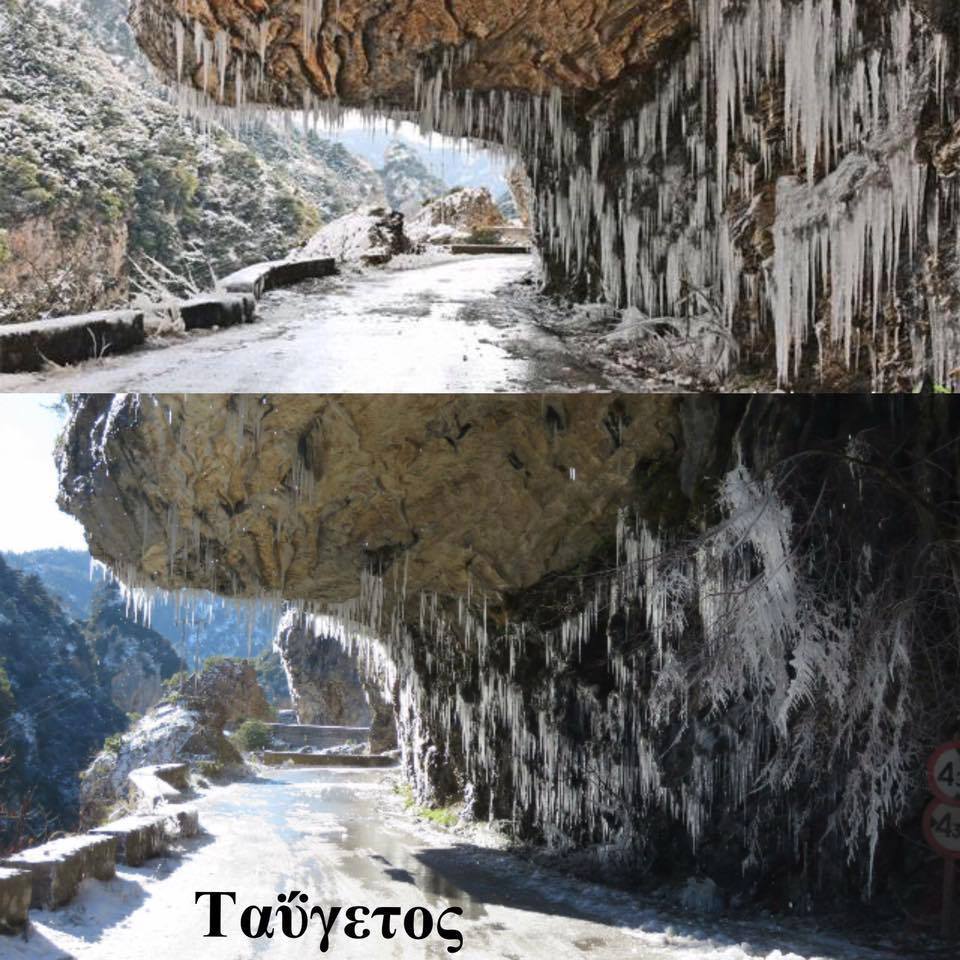 12541077_1185996111429320_9014475775665488864_n