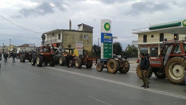 agrotes 2