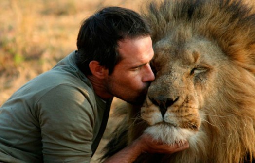 liontari
