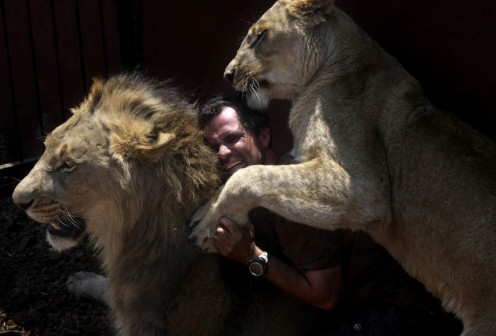 liontaritria