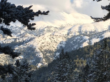 15933852_10208597372186855_16206861_o