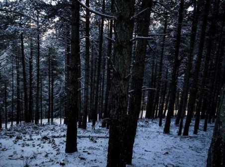 15935698_1507168152645078_334427422_n