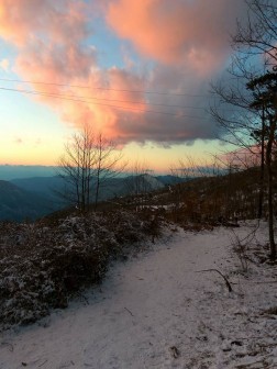 15935750_10208597371986850_1767618834_n