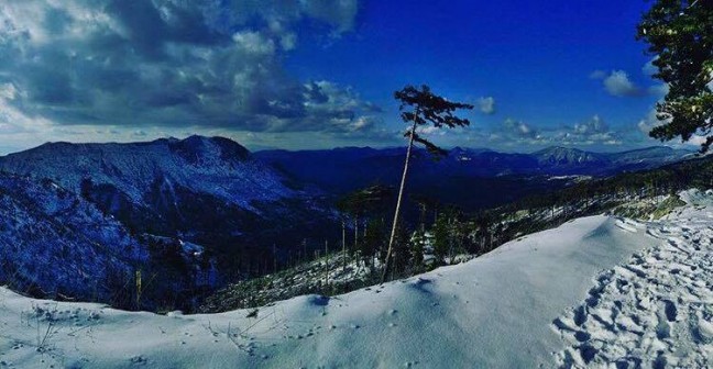 15942134_1507168162645077_517655768_n