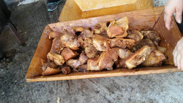 pasto1