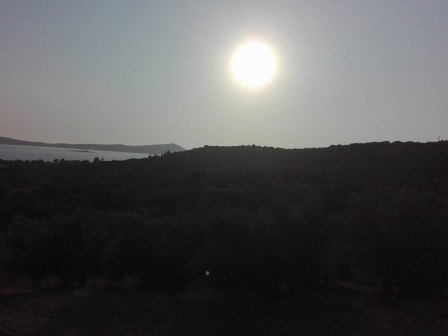 20786170_10209456226511598_1884369354_n