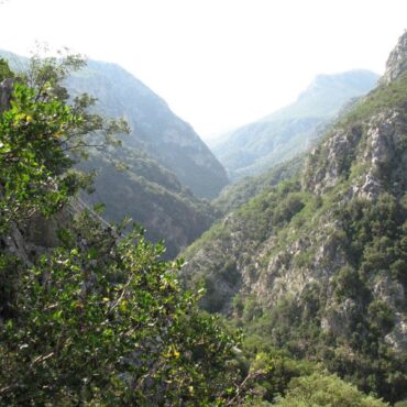 Το καταπράσινο φαράγγι του Νέδοντα ανάμεσα σε απόκρημνες πλαγιές του Ταϋγέτου