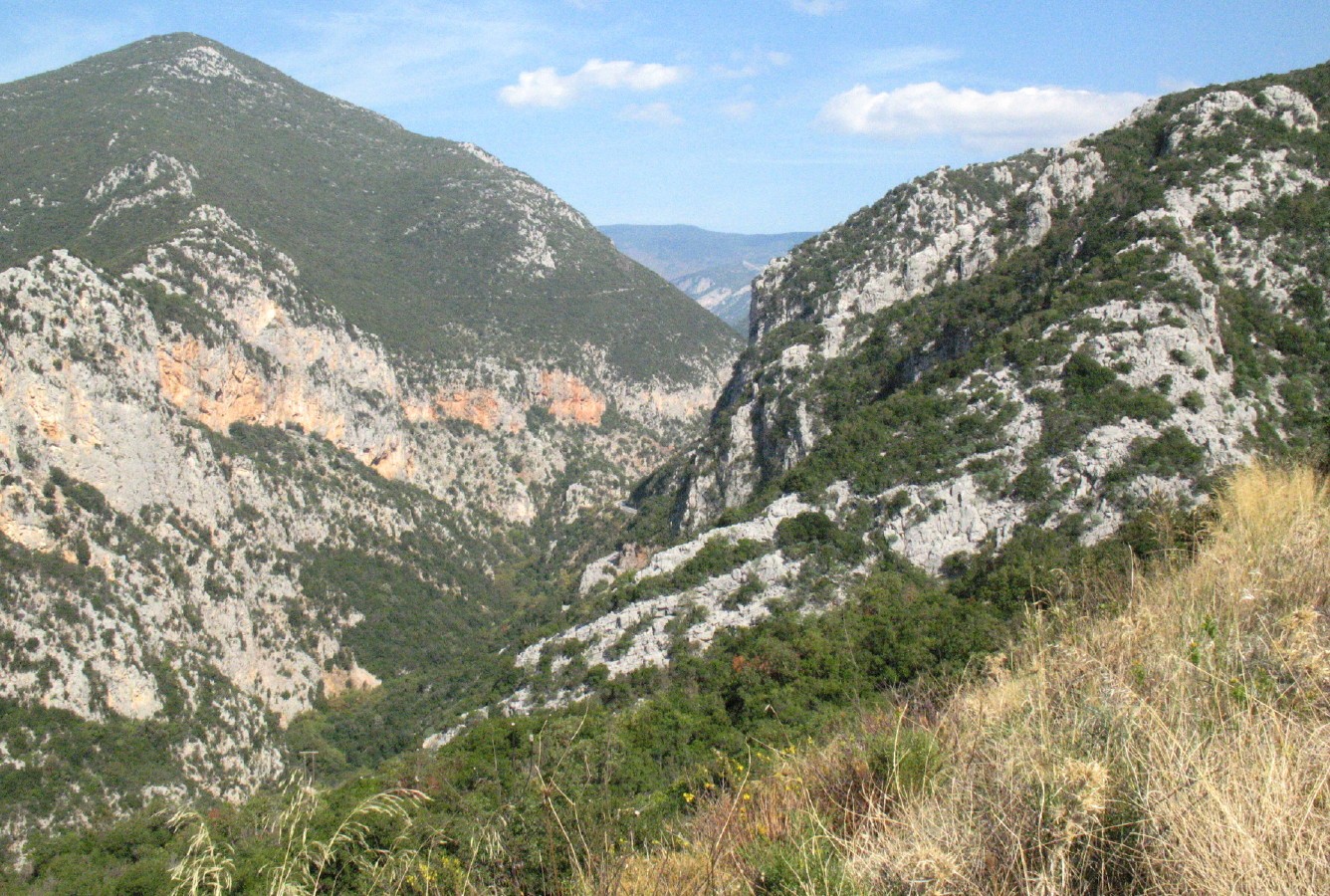 Φόντο