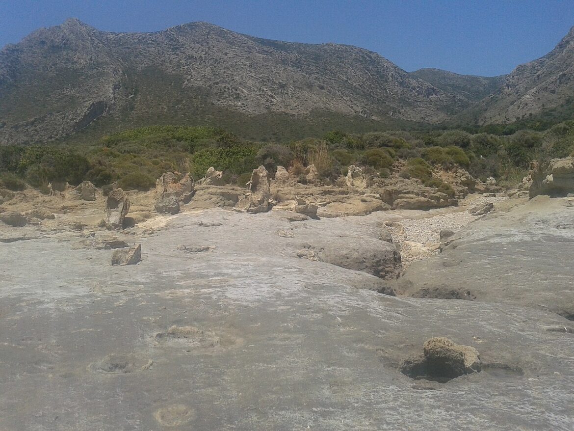Η βόλτα της ημέρας: Σπήλαιο Καστανιάς — μια Κυριακή στα Βάτικα, με σταλακτίτες και πέτρινους φοίνικες