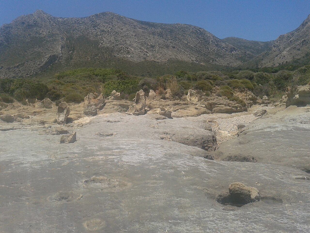 Φόντο